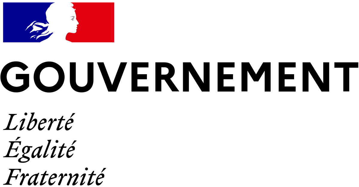 Logo Gouvernement Francais